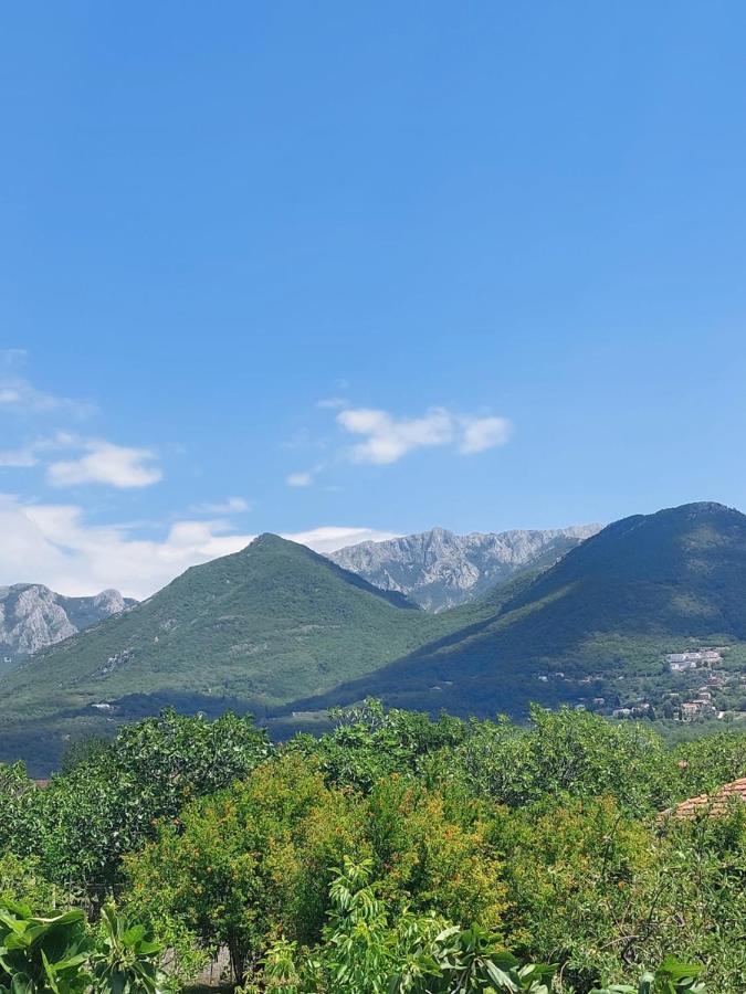 Danin Apartmani Bar Kültér fotó
